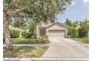 11902 Colony Lakes Blvd, New Port Richey, FL 34654, Sold 11/12/21
