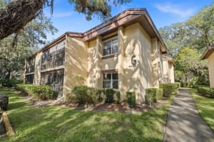 14115 Mossy Glen Ln, Tampa, FL 33613, Sold 11/19/21