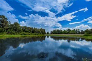 22018 Pristine Lake Blvd, Land O' Lakes, FL 34639, Sold 12/28/21