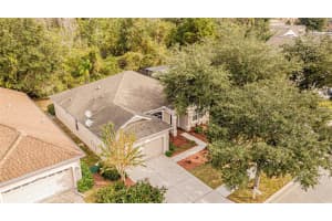 10710 Ribbon Fern Way, Land O' Lakes, FL 34638, Sold 01/07/22