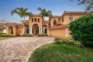 10541 Sabella Dr, Trinity, FL 34655, Sold 03/10/22