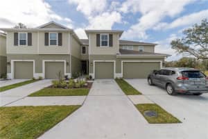 2914 Rambler Ivy Lp, Brandon, FL 33510, Sold 02/28/22