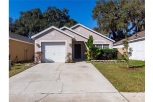 15106 Deer Meadow Dr, Lutz, FL 33559, Sold 03/24/22