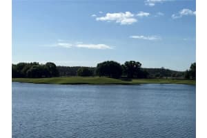 1134 Toscano Dr, Trinity, FL 34655, Sold 04/08/22