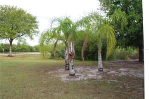 5803 Sweet William Terrace, Land O' Lakes, FL 34639, Sold 04/14/22