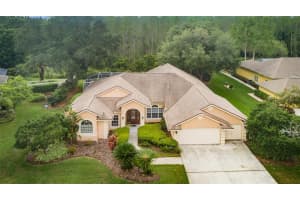 17116 Downs Dr, Odessa, FL 33556, Sold 12/15/22