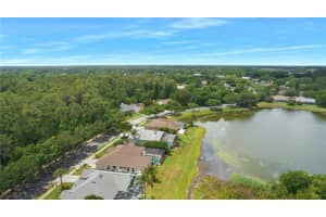 19610 Wyndham Lakes Dr, Odessa, FL 33556, Sold 06/07/22