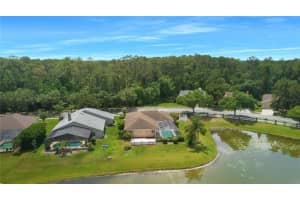 19610 Wyndham Lakes Dr, Odessa, FL 33556, Sold 06/07/22