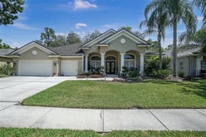 4105 AMBER LN, PALM HARBOR, FL 34685 Sold 08/12/22