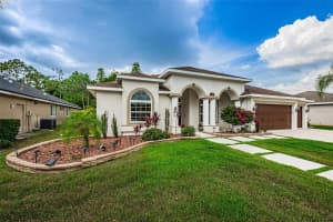 8131 Meadowview Pl, Trinity, FL 34655, Sold 06/24/22