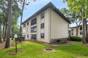 3399 MERMOOR DR #101, PALM HARBOR, FL 34685 Sold 07/22/22