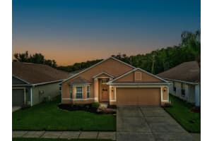 15633 LEATHERLEAF LN, LAND O LAKES, FL 34638 Sold 10/17/22