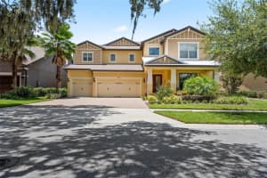 10411 TREE SKYLARK PL, RIVERVIEW, FL 33569 Sold 12/01/22