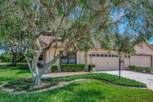 9307 PALM HAVEN CT, NEW PORT RICHEY, FL 34655 Sold 05/15/23