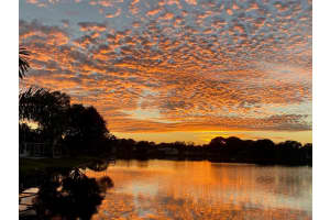 4243 SAWGRASS BLVD, NEW PORT RICHEY, FL 34653 Sold 04/03/23