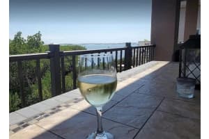 1639 SEA BREEZE DRIVE, TARPON SPNGS, FL 34689 Sold 11/04/24