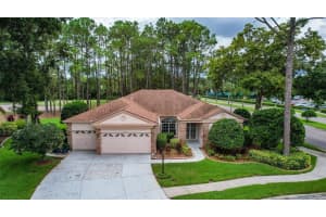 9506 SCENIC PINE CT, NEW PORT RICHEY, FL 34655 Sold 10/20/22