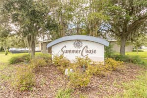 16154 VINE CLIFF AVE, HUDSON, FL 34667 Sold 11/28/22