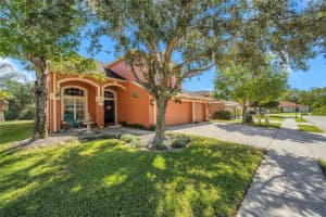 11007 BREMERTON CT, NEW PORT RICHEY, FL 34654 Sold 06/12/23