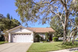 10414 PINENEEDLES DR, NEW PORT RICHEY, FL 34654 Sold 03/06/23