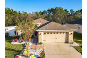 10100 IVES LOOP, HUDSON, FL 34667 Sold 03/14/23