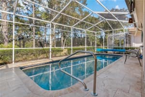 3877 NOTTINGHAM DRIVE, TARPON SPRINGS, FL 34688 Sold 02/24/23
