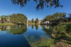 1007 OSPREY COURT, TARPON SPRINGS, FL 34689 Sold 03/31/23