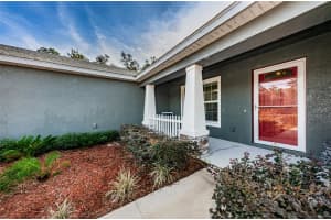 10190 Meadow Wren Avenue, Weeki Wachee, Florida 34613