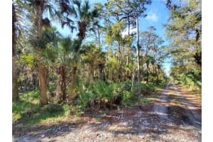 8738 LINDY LANE, NEW PORT RICHEY, FL 34655 - MLS#MFRW7851874