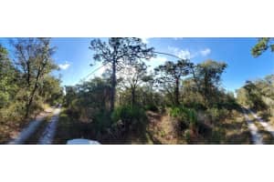 8738 LINDY LANE, NEW PORT RICHEY, FL 34655 - MLS#MFRW7851874