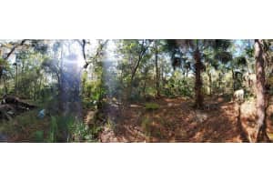 8738 LINDY LANE, NEW PORT RICHEY, FL 34655 - MLS#MFRW7851874