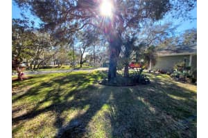 39650 Us Highway 19 N #511 Tarpon Springs, FL 34689 Sold 03/15/23
