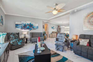 317 BASS COURT, OLDSMAR, FL 34677 Sold 05/23/23