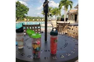 19111 BILLFISH AVENUE, VENICE, FL 34292 Sold 12/29/23