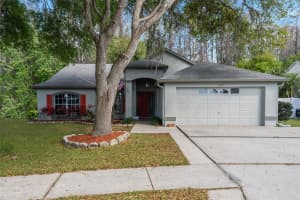 4342 OLIN STREET, NEW PORT RICHEY, FL 34653 Sold 04/19/23