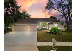 19723 WYNDCLIFF DRIVE, ODESSA, FL 33556 Sold 06/14/23