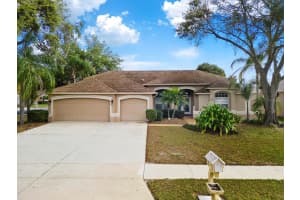 19723 WYNDCLIFF DRIVE, ODESSA, FL 33556 Sold 06/14/23