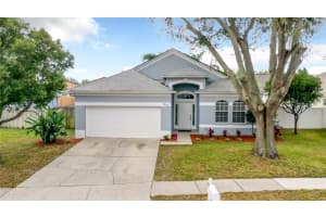 24342 ROLLING VIEW COURT, LUTZ, FL 33559 Sold 04/11/23