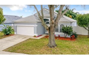 24342 ROLLING VIEW COURT, LUTZ, FL 33559 Sold 04/11/23