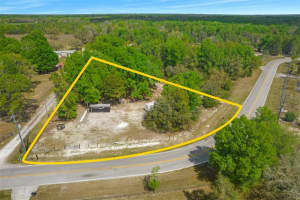 17755 BOSLEY, SPRING HILL, FL 34610 - MLS#MFRW7853254