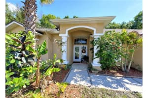 4710 Basswood St, Land O' Lakes, FL 34639, Sold 05/15/23