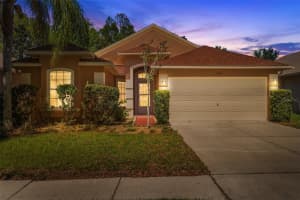 15931 Pond Rush Ct, Land O' Lakes, FL 34638, Sold 05/19/23