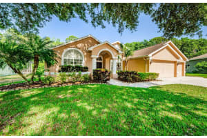 1353 WILD PINE COURT, TRINITY, FL 34655 Sold 08/28/23