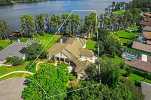 1336 LAKE PARKER DRIVE, ODESSA, FL 33556 Sold 06/09/23