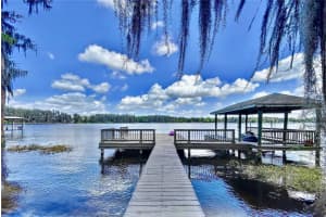 1336 LAKE PARKER DRIVE, ODESSA, FL 33556 Sold 06/09/23