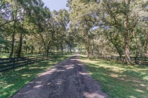 24280 POWELL ROAD, BROOKSVILLE, FL 34602 Sold 09/11/24