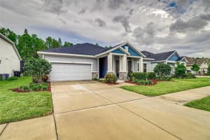 15329 RENAISSANCE AVENUE, ODESSA, FL 33556 Sold 05/26/23