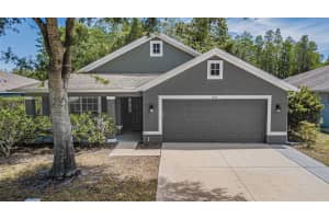 12118 Fall Creek Ct Hudson, FL 34669 Sold 06/01/23