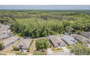 12118 Fall Creek Ct Hudson, FL 34669 Sold 06/01/23