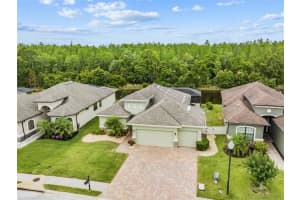 1127 KETZAL DRIVE, TRINITY, FL 34655 Sold 06/30/23